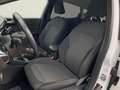Ford Fiesta Active 1.0l Klima+Navi+Sitzheiz+1.Hand+ZV Weiß - thumbnail 9