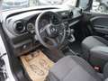 Mercedes-Benz Citan Kastenwagen 110 Base *KLIMA+KAMERA+RHINO* Weiß - thumbnail 7