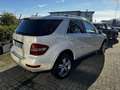 Mercedes-Benz ML 350 Classe M - W164 cdi Premium auto E5 Weiß - thumbnail 3