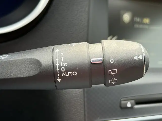 DS Automobiles DS 4 view 15