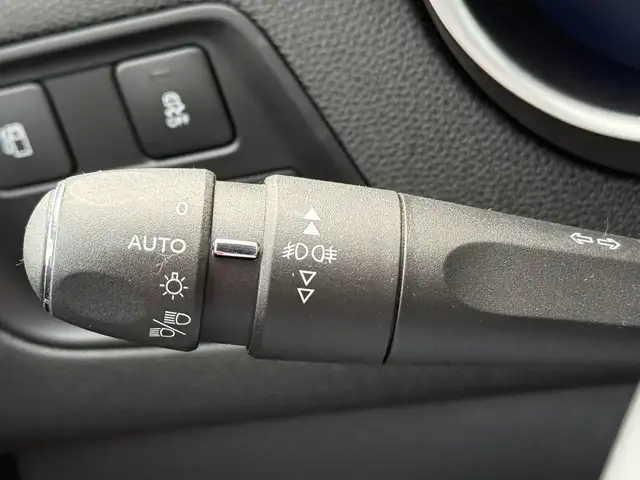 DS Automobiles DS 4 view 10