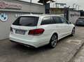 Mercedes-Benz E 250 Classe E - W212 SW SW bt Premium 4matic auto E6 Bianco - thumbnail 4