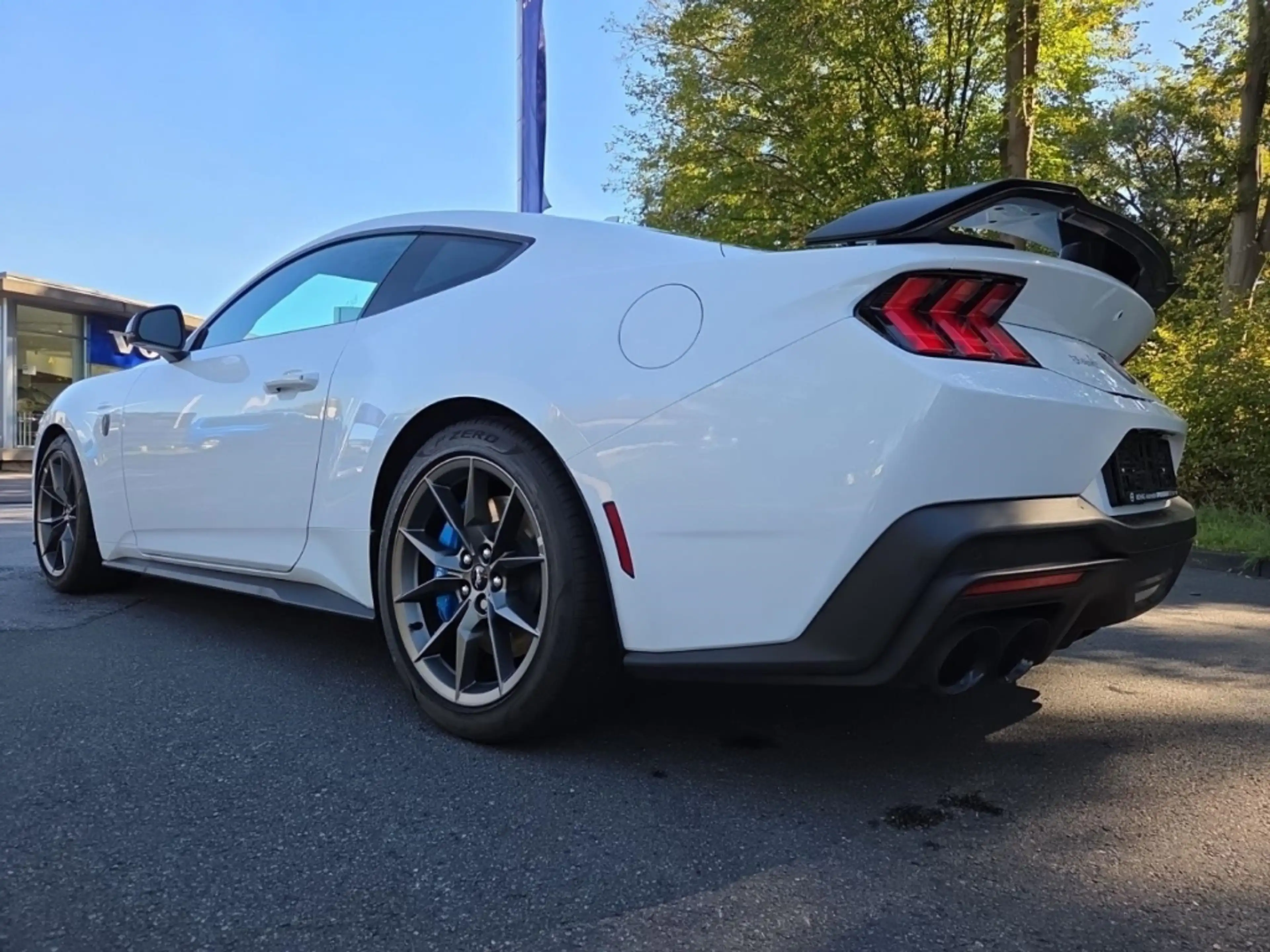 Ford Mustang 5.0L V8 Dark Horse RECARO MagneRide ACC B&O — photo 13