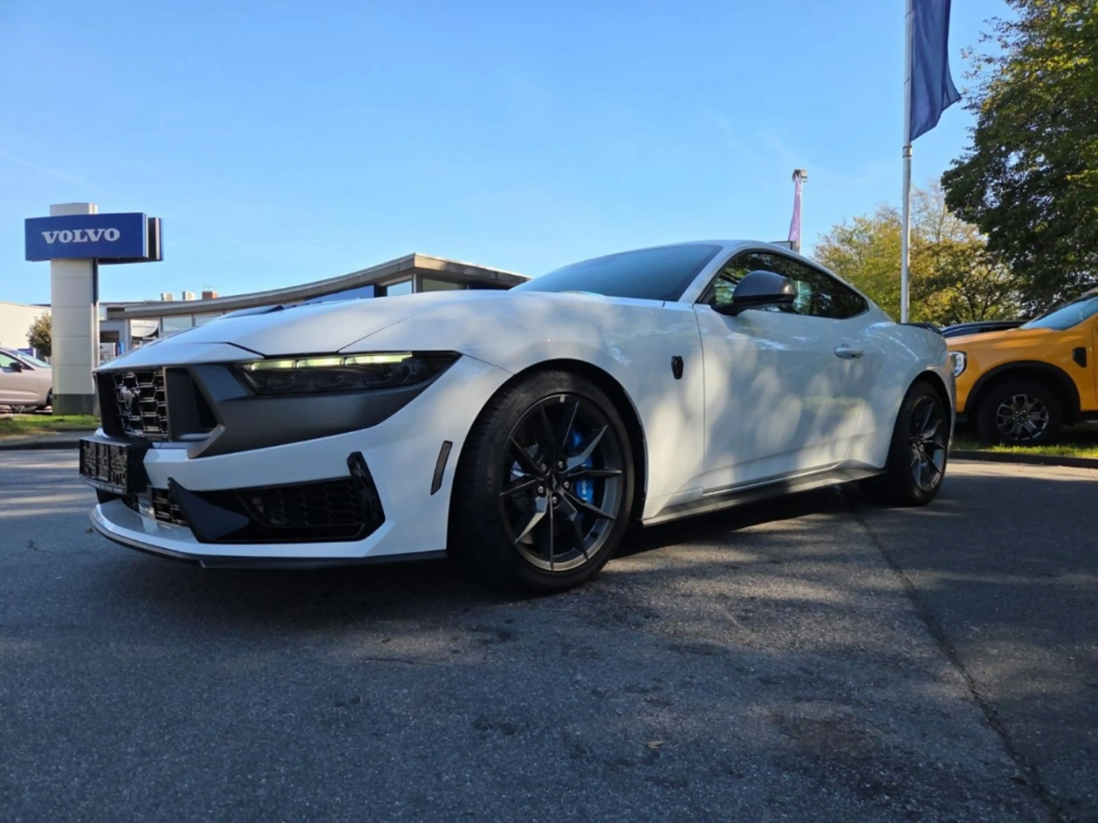 Ford Mustang 5.0L V8 Dark Horse RECARO MagneRide ACC B&O — photo 14