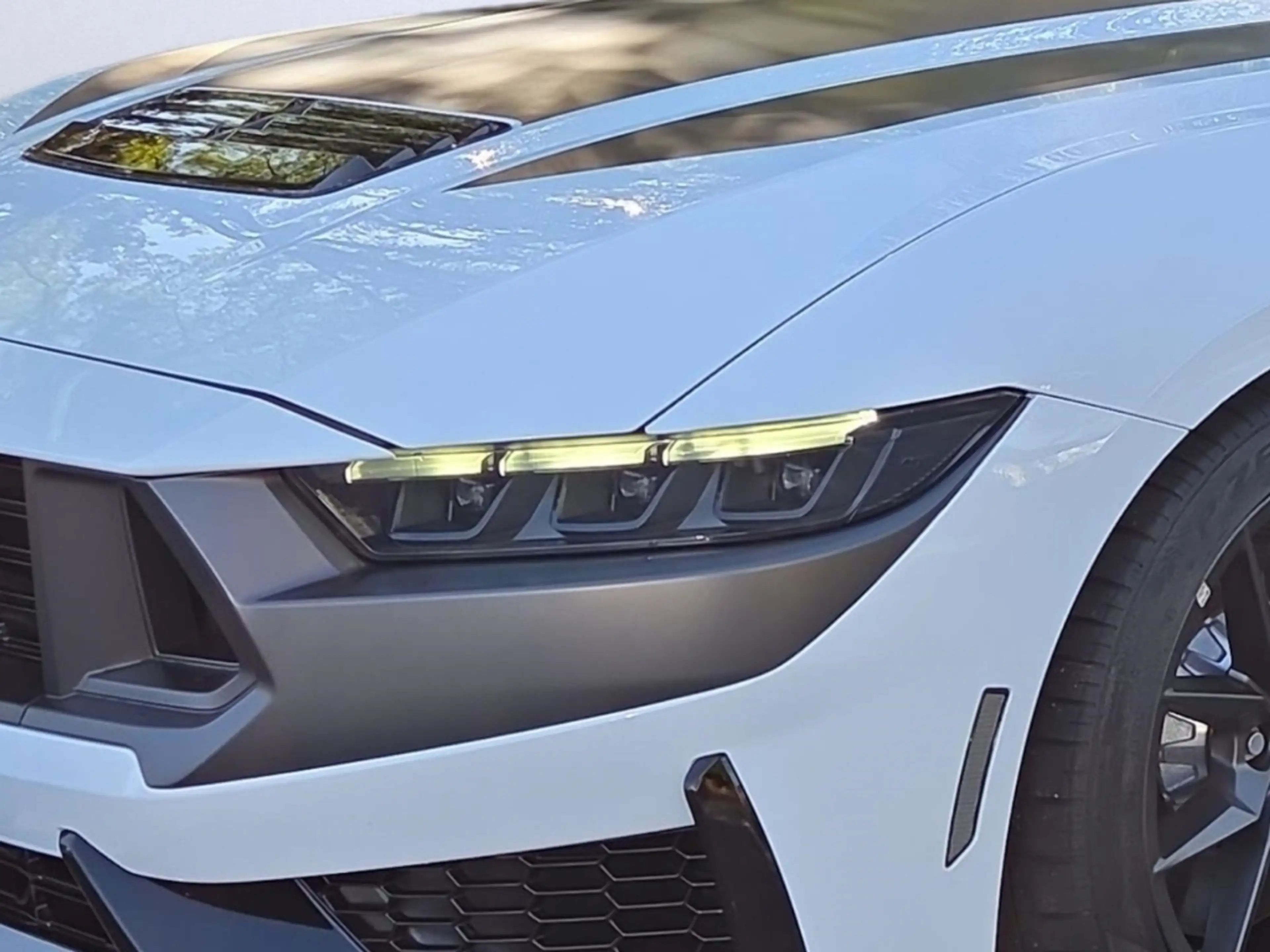 Ford Mustang 5.0L V8 Dark Horse RECARO MagneRide ACC B&O — photo 5