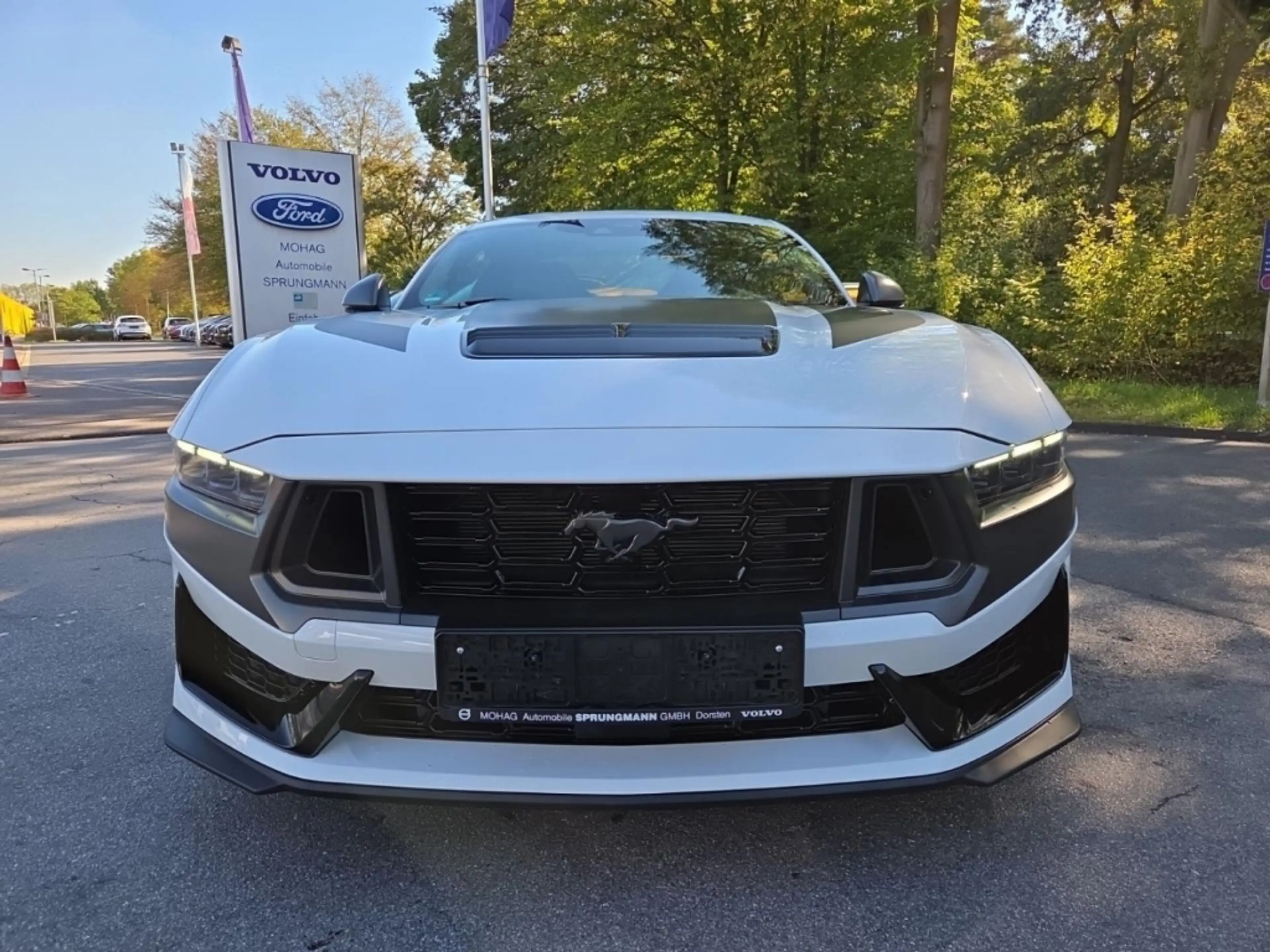 Ford Mustang 5.0L V8 Dark Horse RECARO MagneRide ACC B&O — photo 15