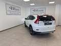 Honda CR-V CR-V 1.6 i-DTEC Executive Navi ADAS 4WD Bianco - thumbnail 16