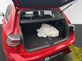 Volkswagen Golf VIII 1.5 eTSI Style Busin.Prem+Pano+LEDmatr Rot - thumbnail 4