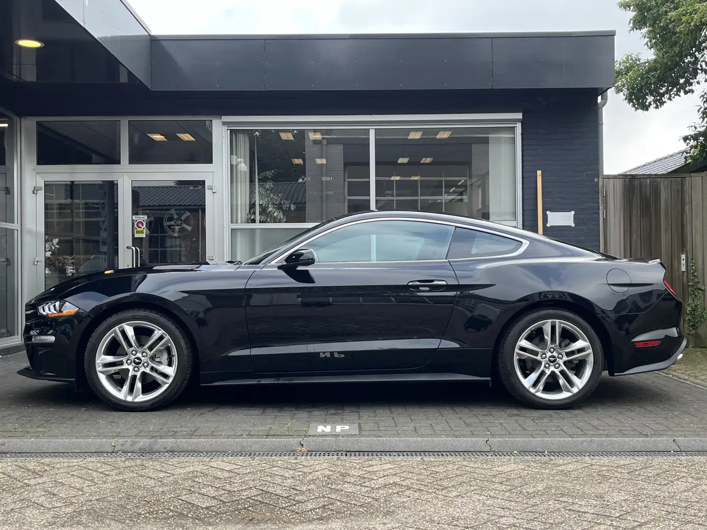 Ford Mustang Fastback 2.3 EcoBoost PREMIUM PACKAGE / CLIMA / CR Černá - 2