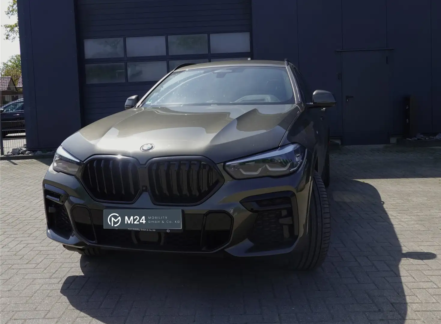 BMW X6 xDrive 30d M-Sport STANDHZ+PANO+NAVI+HUD+L Vert - 1