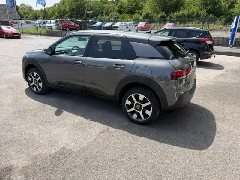 Citroen C4 Shine Pack — photo 7