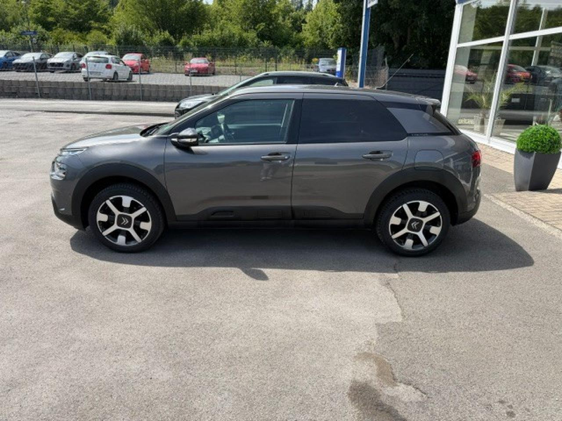 Citroen C4 Shine Pack — photo 8