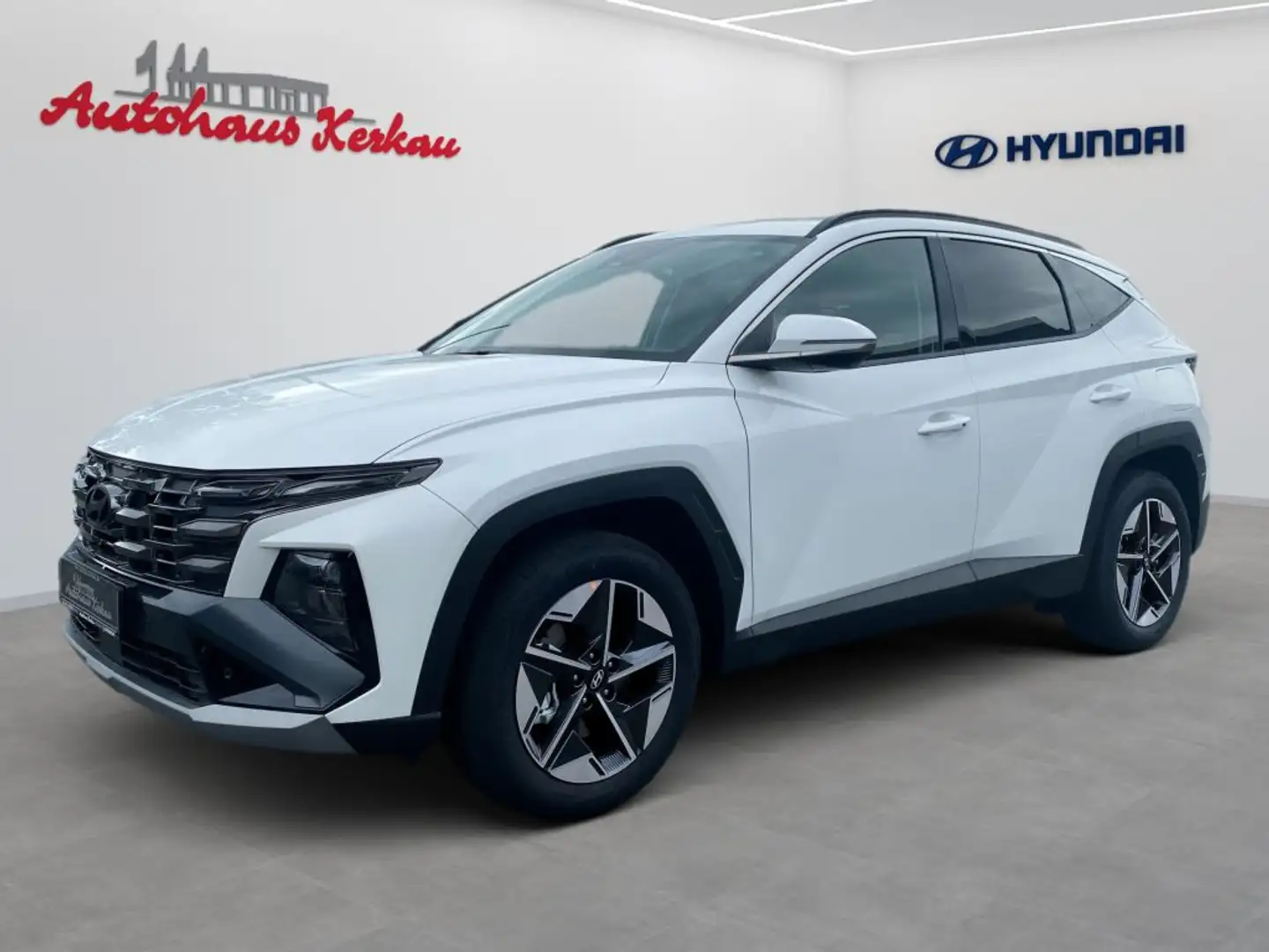 Hyundai TUCSON 1.6 CRDi 48V-Hybrid 4WD DCT Trend - 1