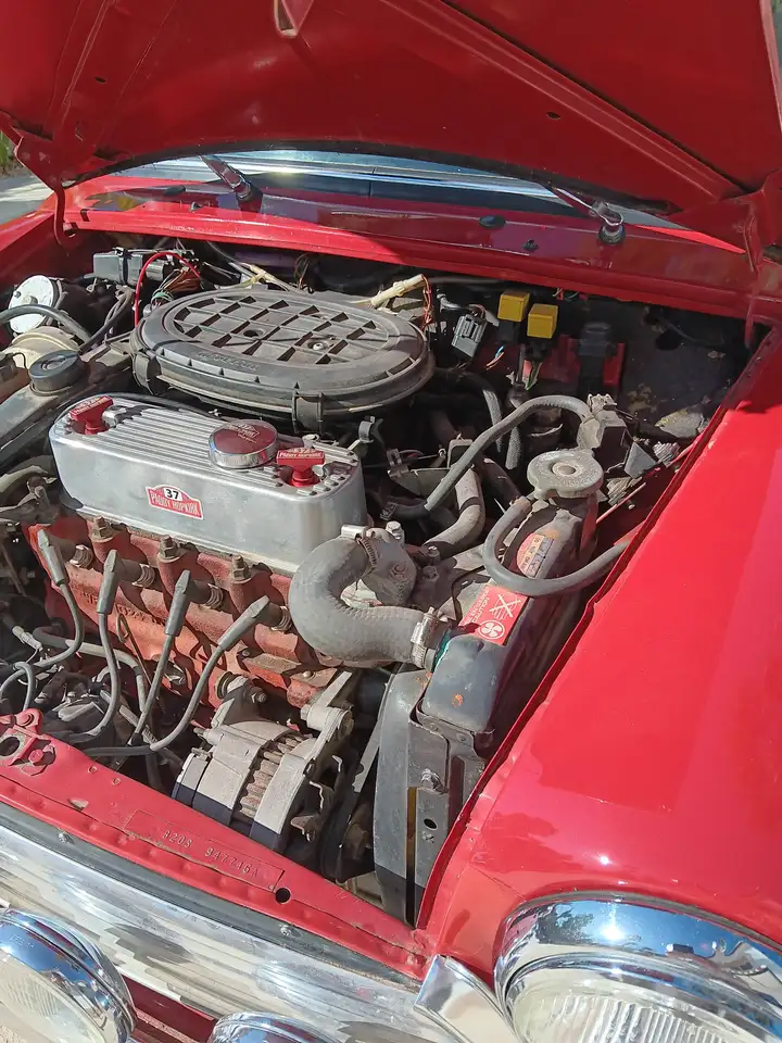Rover Mini