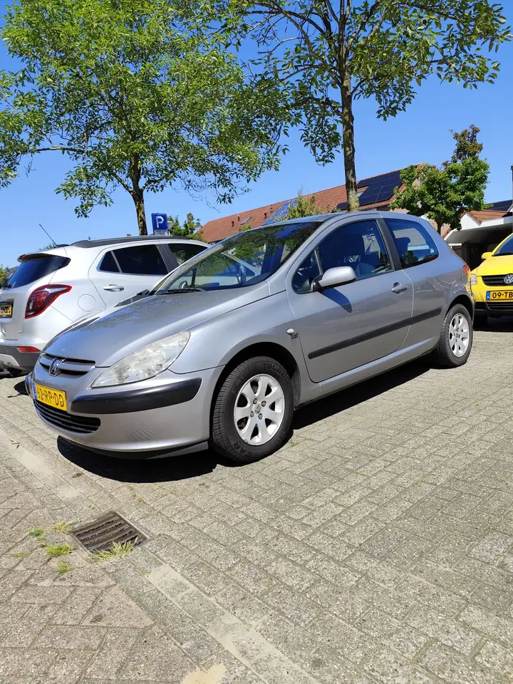 Peugeot 307