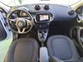 smart forFour Forfour II 0.9 TURBO Passion 90cv twinamic 12/2017 Bianco - thumbnail 11