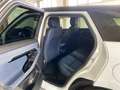 Land Rover Range Rover Evoque Evoque 1.5 i3 phev SE awd auto Plug in Weiß - thumbnail 29