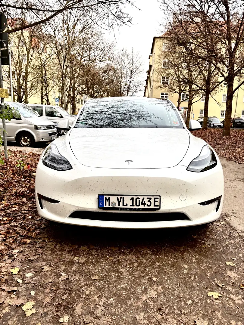 Tesla Model Y Long Range Dual Motor AWD - 2