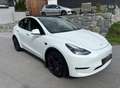 Tesla Model Y AWD 79kWh Performance - thumbnail 3