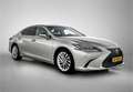 Lexus ES 300 300h President Line | NL auto | Dealeronderhouden Grau - thumbnail 14