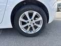 Opel Corsa 1.2 75cv Edition MT5 Weiß - thumbnail 7
