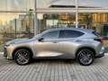 Lexus NX 350h Executive Line Srebrny - thumbnail 7