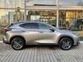 Lexus NX 350h Executive Line Srebrny - thumbnail 4
