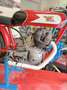 Moto Morini 175 Settebello Rosso - thumbnail 7