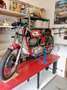 Moto Morini 175 Settebello Rosso - thumbnail 1