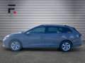 Volkswagen Golf Variant 4Me TSI Grau - thumbnail 8