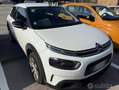 Citroen C4 C4 Cactus 2018 Cactus 1.5 bluehdi Shine Pack s Wit - thumbnail 1