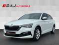 Skoda Scala 1.0 TSI Ambition Carplay Virt LED NAV RFK Weiß - thumbnail 1
