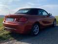 BMW 218 218i Cabrio Sport Line Oranj - thumbnail 3