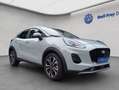 Ford Puma 1.0 EB Hybrid TITANIUM Facelift Synk4 Grau - thumbnail 8