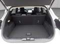 Ford Puma 1.0 EB Hybrid TITANIUM Facelift Synk4 Grau - thumbnail 5