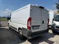 Fiat Ducato 2.3/L1H1/EURO 6B/2017 Bianco - thumbnail 6