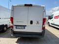 Fiat Ducato 2.3/L1H1/EURO 6B/2017 Bianco - thumbnail 5