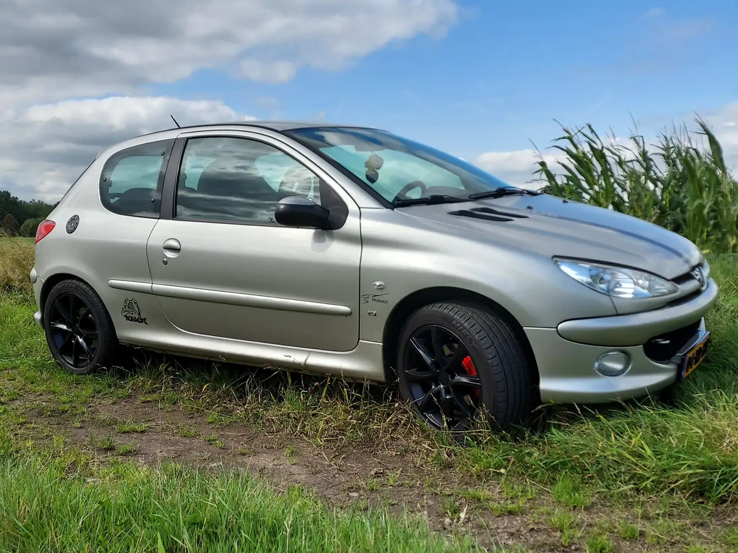 Peugeot 206 206 1.4-16V XS Grey - 1