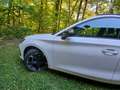 CUPRA Leon Leon SP Kombi 1.5 TSI 150 Weiß - thumbnail 7