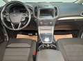 Ford S-Max 2.0 EcoBlue Aut. AHK, ACC, Kamera, W-Paket - thumbnail 8