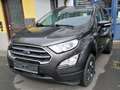Ford EcoSport Cool Grau - thumbnail 2