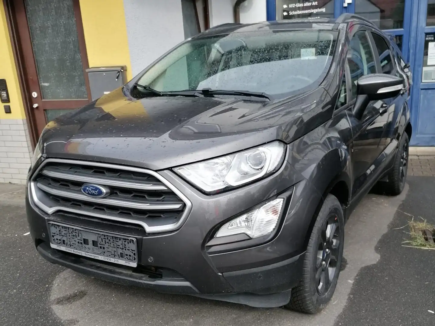 Ford EcoSport Cool Grau - 2