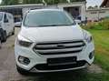Ford Kuga Kuga 1.5 EcoBoost 2x4 Cool - thumbnail 3