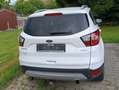 Ford Kuga Kuga 1.5 EcoBoost 2x4 Cool - thumbnail 7