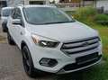 Ford Kuga Kuga 1.5 EcoBoost 2x4 Cool - thumbnail 1
