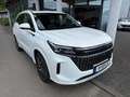 DFSK Fengon E5 PHEV Pano/LED/360°Kamera/Leder/7Sitze Biały - thumbnail 1
