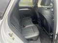 Audi Q5 50 2.0 TFSI e S line quattro S-tronic Weiß - thumbnail 19