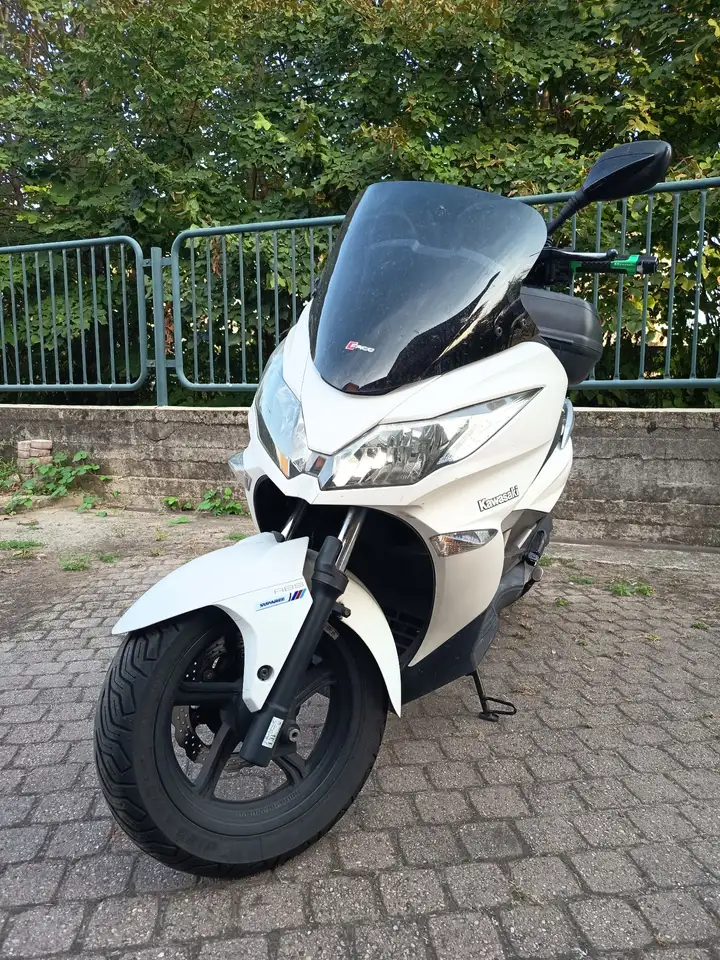 Kawasaki J 300