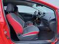 Ford Fiesta 1.0 EcoBoost Red/Black Edition 141 PK [ ecc,audio, Rouge - thumbnail 11