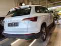 Skoda Karoq Ambition 2.0TDI 320,-ohne Anzahlung Navi AHK Kame Weiß - thumbnail 3